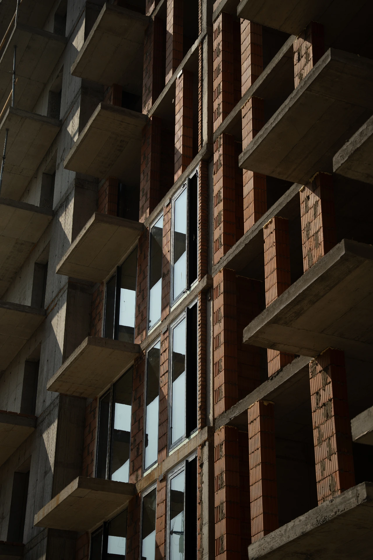 Серпень 2025 фотозвіт